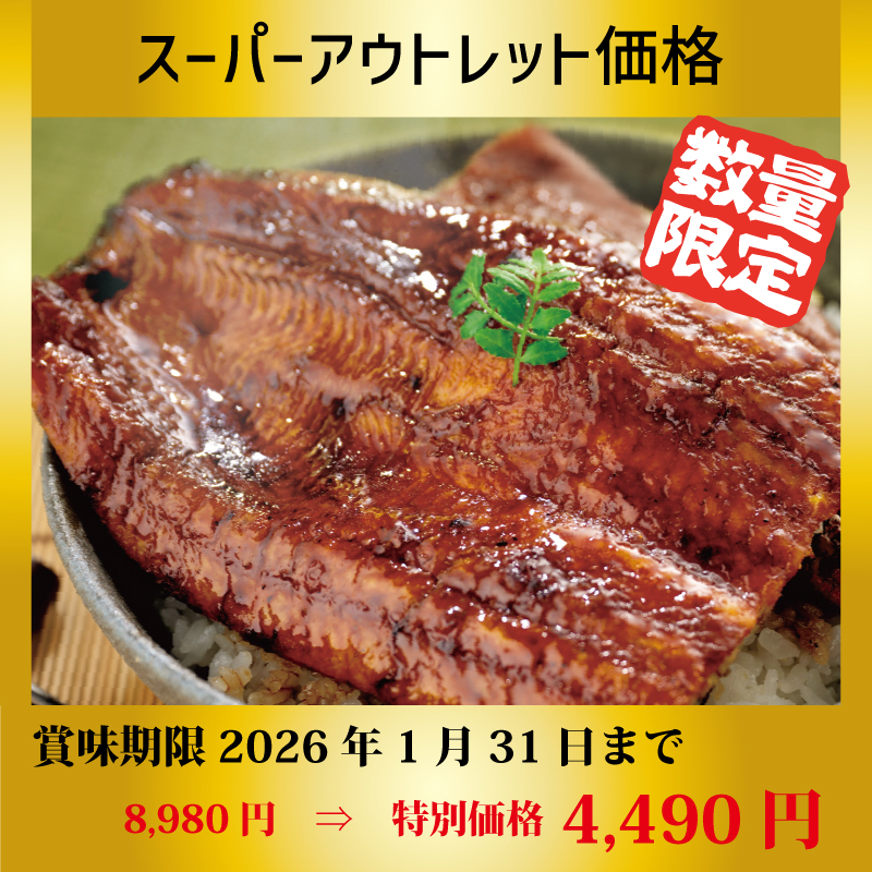 【特別価格】三河産特大うなぎ蒲焼2尾