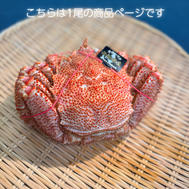 【1尾】[オホーツク産]大型海明け毛ガニ
