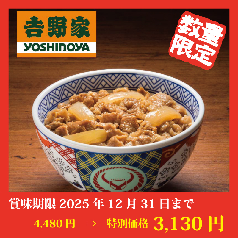 【特別価格】吉野家 牛丼の具【10食】