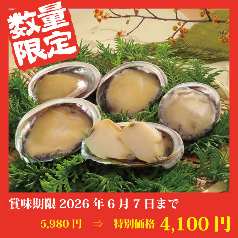 【特別価格】[北海道産]天然蝦夷あわび【5個】