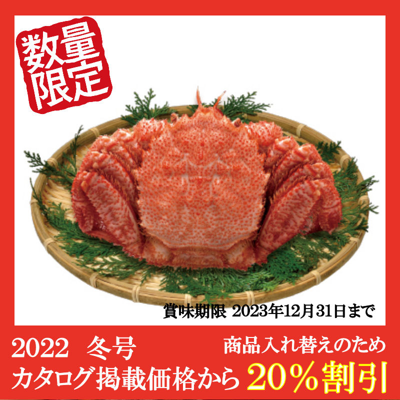 【特別価格】北海道産大型毛ガニ（570g以上）