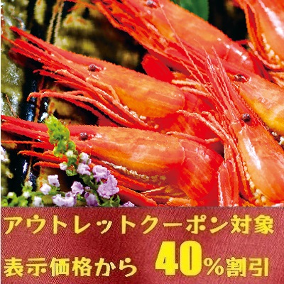 アウトレットクーポン対象 根室産 北海シマエビ 約400g ｓｔｖショッピングー札幌テレビ放送の新総合通販サイト