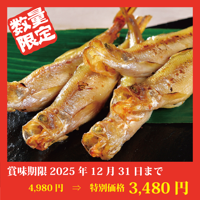 ★完売御礼★【特別価格】北海道産子持ち本ししゃも