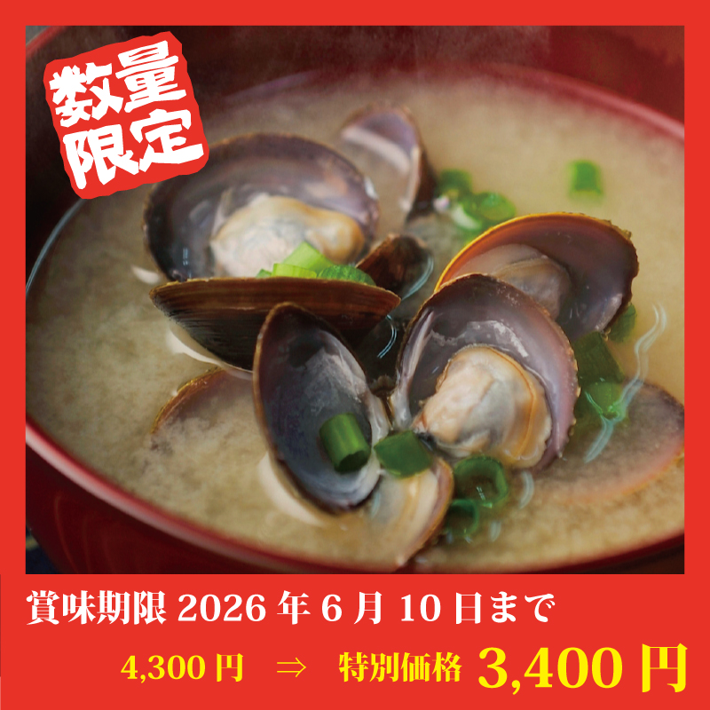 【特別価格】網走湖産ボイルしじみ（８袋）