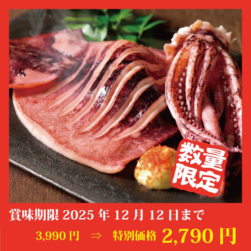 【特別価格】いか一夜干し