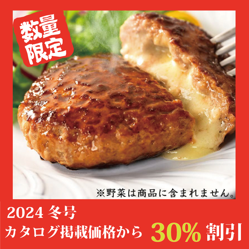 ★完売御礼★【特別価格】ありがとうハンバーグ（チーズ）