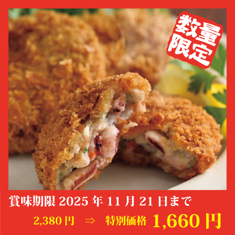 【特別価格】ゴロっとイカメンチ