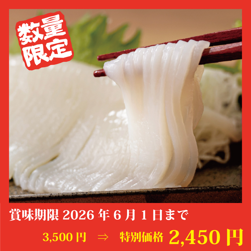 【特別価格】理由ありいかそうめん