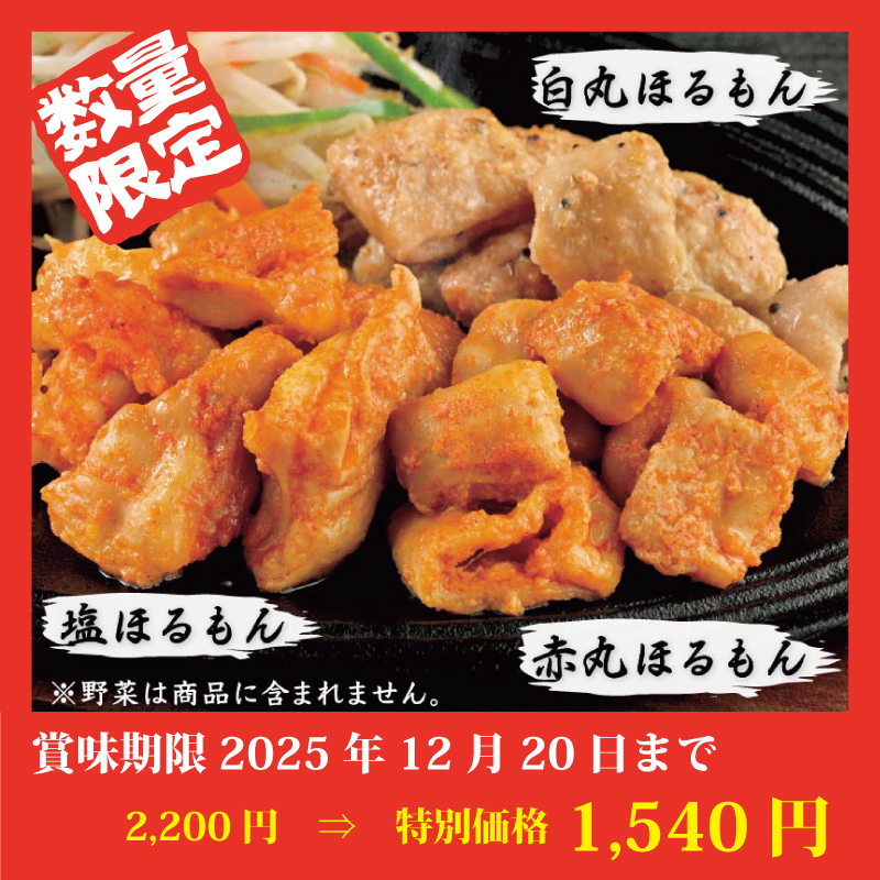 【特別価格】特製ほるもん3袋セット