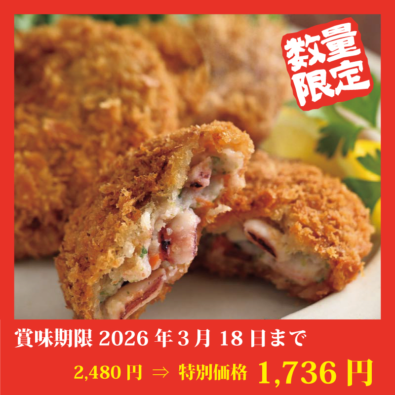 【特別価格】ゴロっとイカメンチ