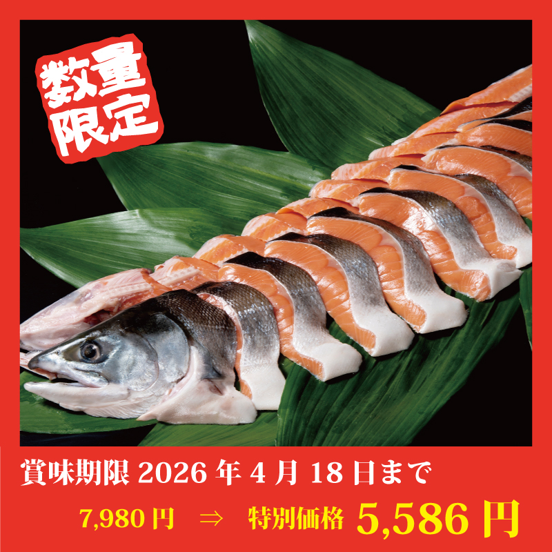 【特別価格】沖獲り鮭姿切り身