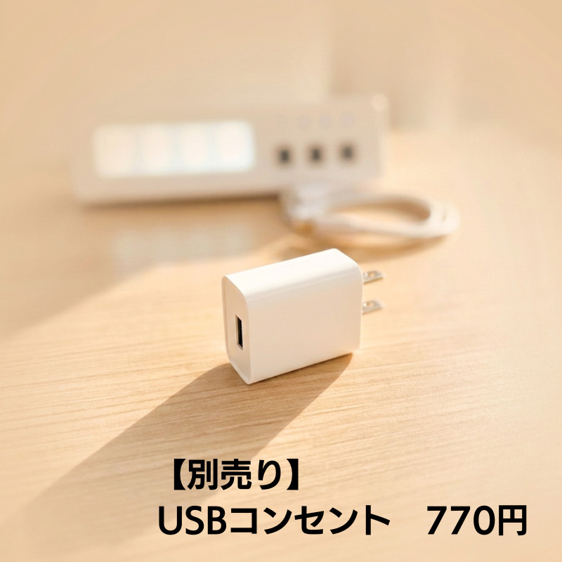 ★期間限定★USBコンセント