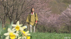 【DVD】ブギウギ専務3　奥の細道～春の章～